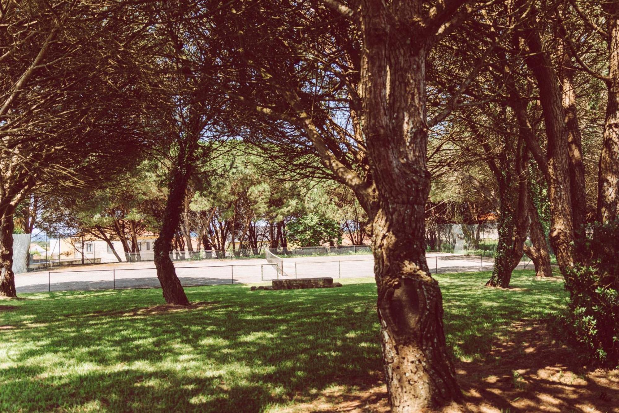Quinta Do Monteverde Viana do Castelo Bagian luar foto